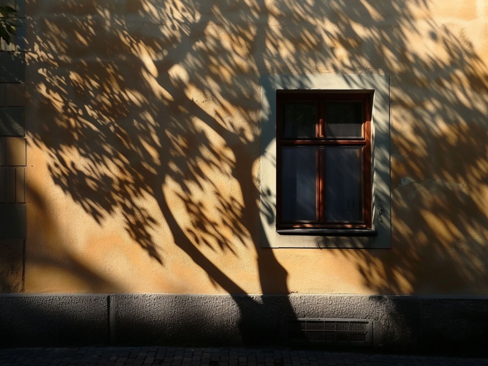 Tree backlighting to create a silhouette effect on the wall