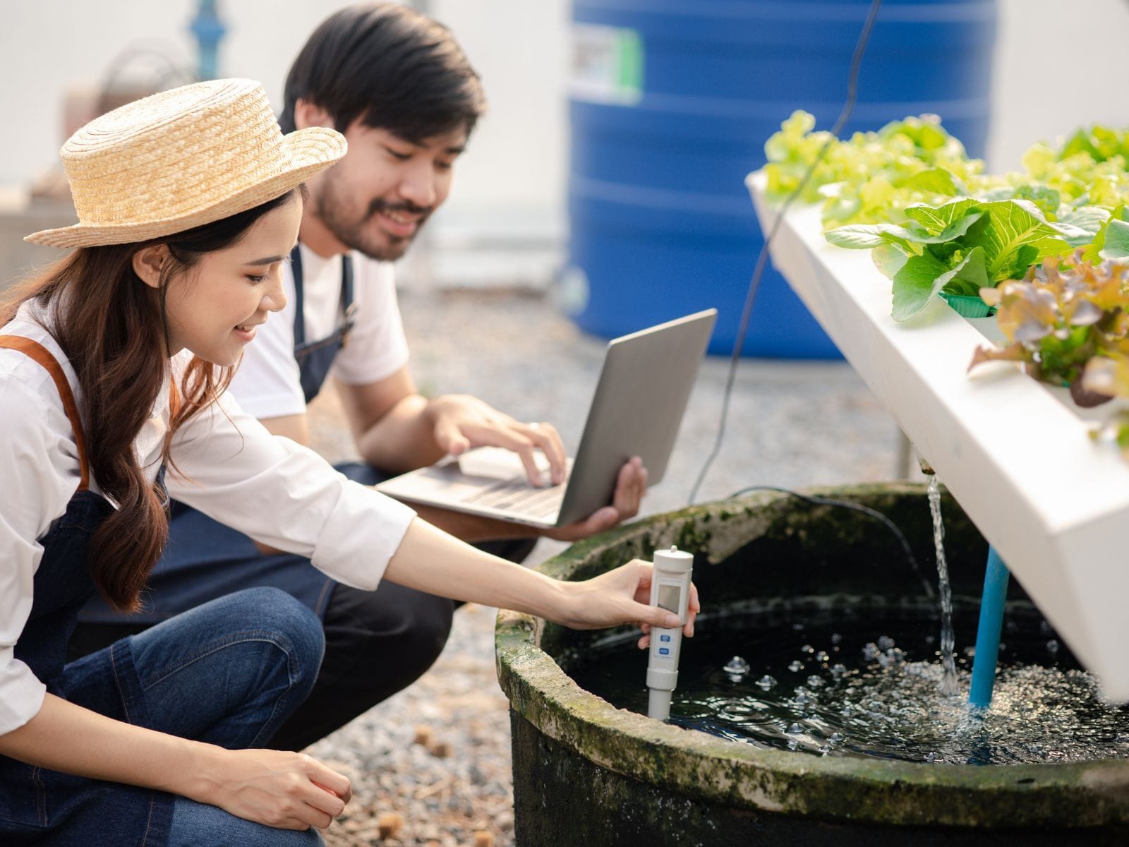 A girl and boy measuring the temperature of a water tank comprising fish and plants