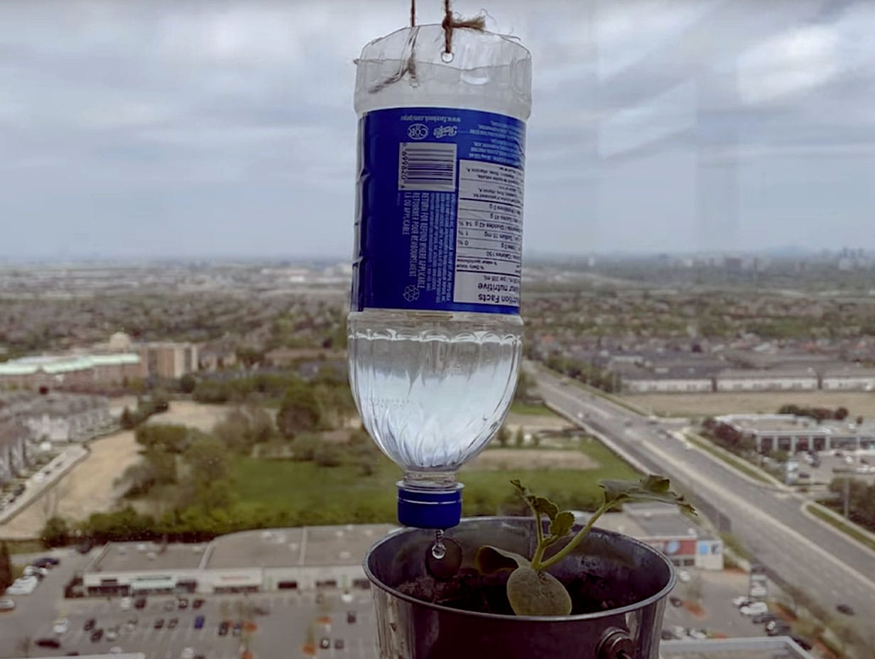 a bottle of water used for drip irrigation